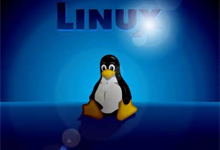 Linux操作系统通过/proc/cpuinfo文件查询CPU详细信息
